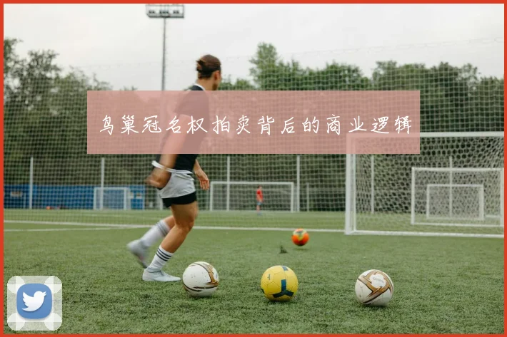 鸟巢冠名权拍卖背后的商业逻辑
