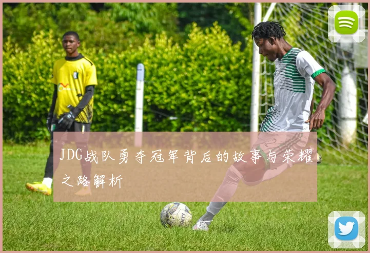 JDG战队勇夺冠军背后的故事与荣耀之路解析