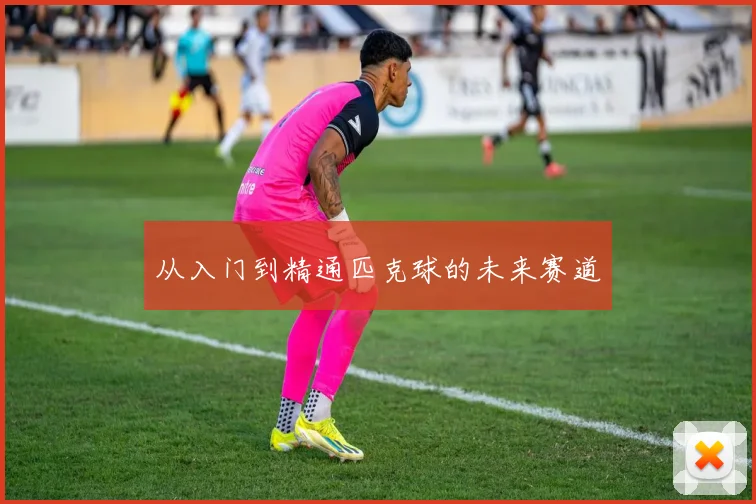 从入门到精通匹克球的未来赛道