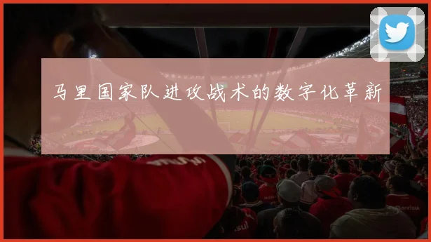马里国家队进攻战术的数字化革新