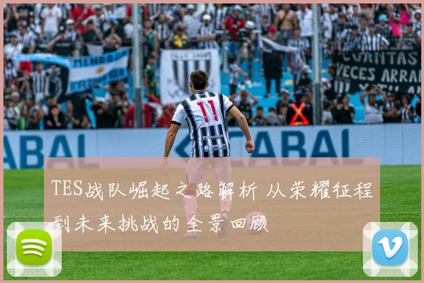 TES战队崛起之路解析 从荣耀征程到未来挑战的全景回顾