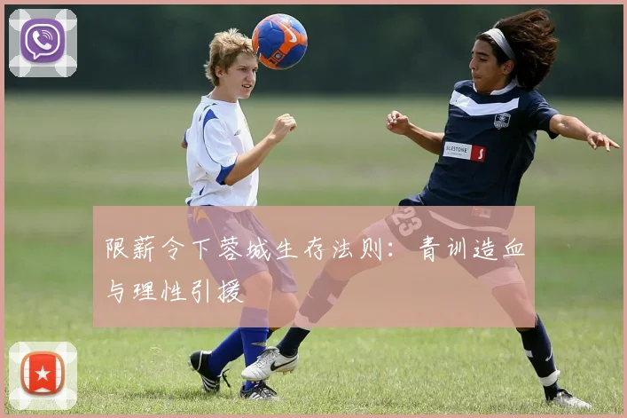 限薪令下蓉城生存法则：青训造血与理性引援