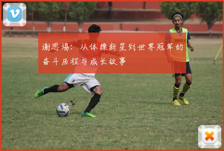 谢思埸：从体操新星到世界冠军的奋斗历程与成长故事