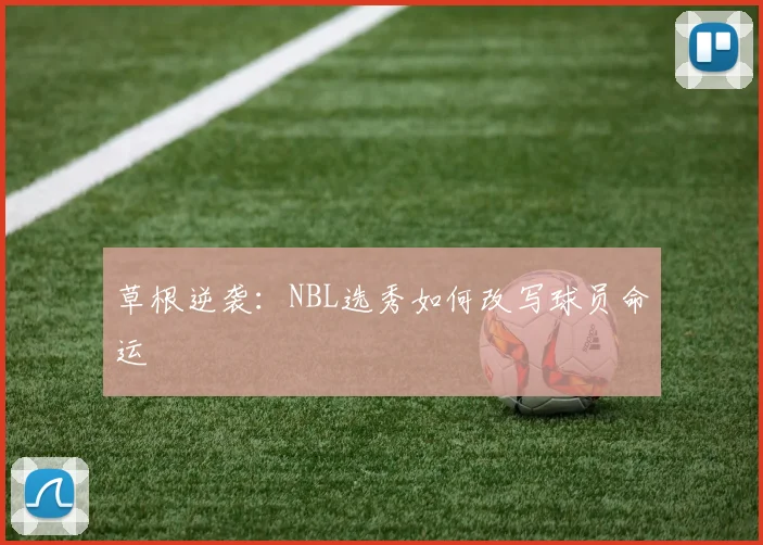 草根逆袭：NBL选秀如何改写球员命运