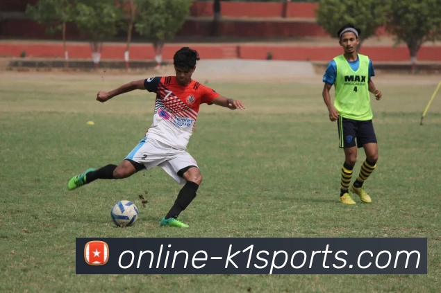 企业概况
