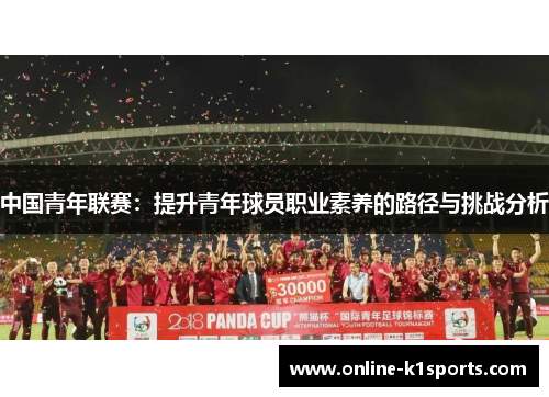 中国青年联赛：提升青年球员职业素养的路径与挑战分析