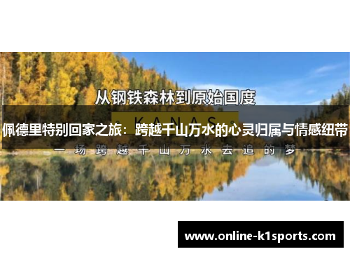 佩德里特别回家之旅：跨越千山万水的心灵归属与情感纽带