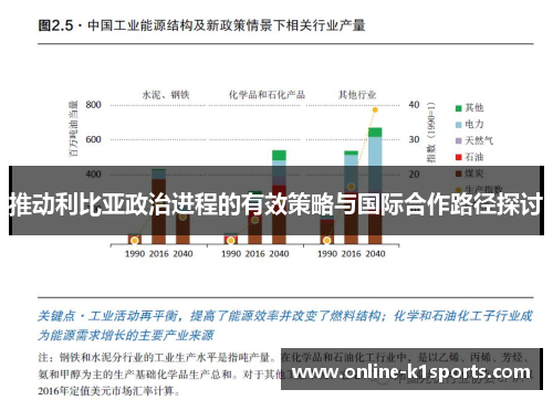 推动利比亚政治进程的有效策略与国际合作路径探讨